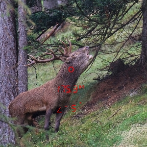 GPO RANGETRACKER™ 2000 6x20 OLED Laser-Entfernungsmesser 2