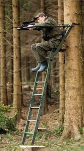 Folding hide ladder 2