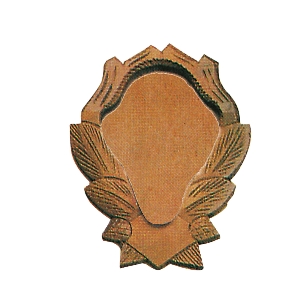Gamskrickel shield