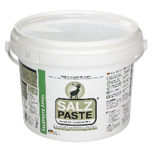 DEUSA Salzpaste