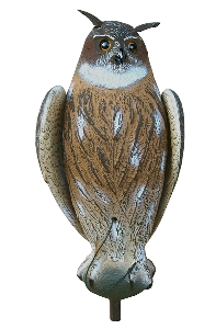 Decoy lodge owl 1