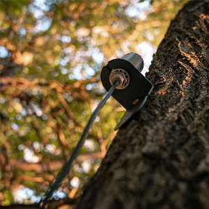 SPYPOINT Mobilfunkantenne 4