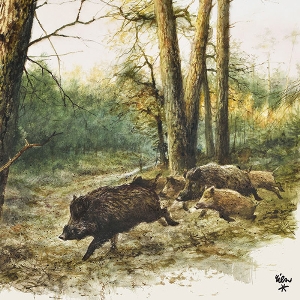 Serviettes de chasse truie