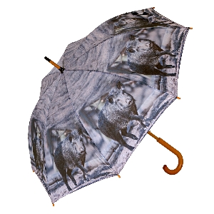 Regenschirm Sauen
