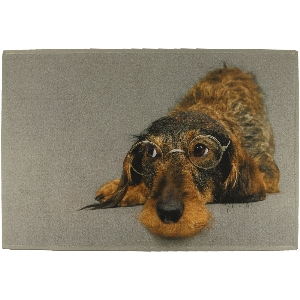 Dachshund doormat with glasses 1