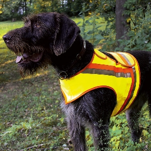 Gilet réfléchissant pour chiens