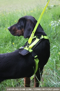 AKAH chest harness Tracker neon yellow 4