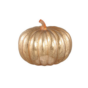 Pumpa LED light L 1