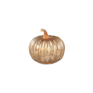 Pumpa LED light S 1