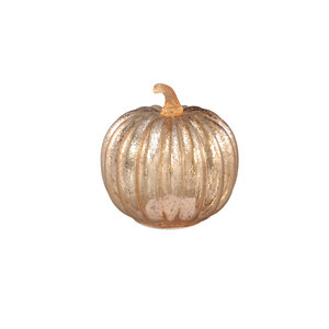 Pumpa LED light M 1