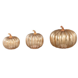Pumpa LED light M 4