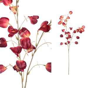 Twig Plant Red and Orange Lantern Branch 1