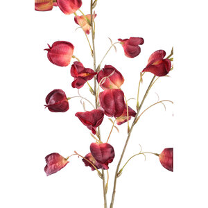 Twig Plant Red and Orange Lantern Branch 2