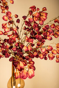 Twig Plant Red and Orange Lantern Branch 3