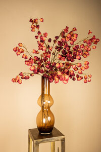 Twig Plant Red and Orange Lantern Branch 4