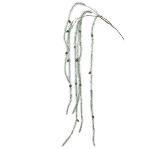 Twig Pflanze hängender grüner Kiefernzweig mit Kiefernzapfen