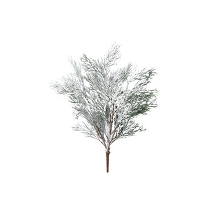 Twig Pflanze Grüner Schneegraßbusch