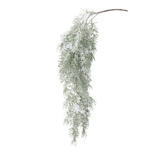 Twig Pflanze Grüner verschneiter Zedern-Hängespray