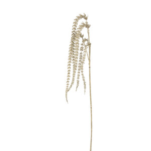 Twig Pflanze Champagner Amaranthus-Spray