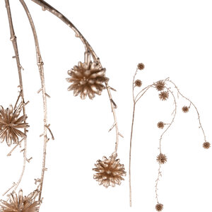 Twig Pflanze Gold-Zaubernuss Spray