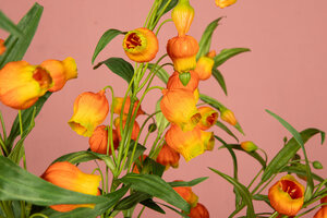 Lily Flower Orange Chinese lantern branch 4