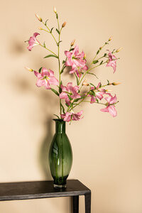 Lily flower purple with buds and leaves 4