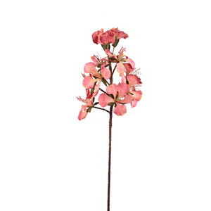 Lily Flower Pink Peruvian Lily Stem 1