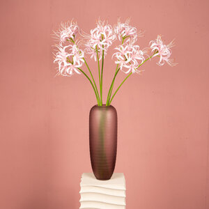 Lily Flower Pink spider lily 2