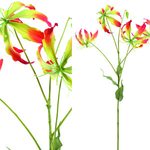Lily Flower kırmızı ve sarı Gloriosa S 1