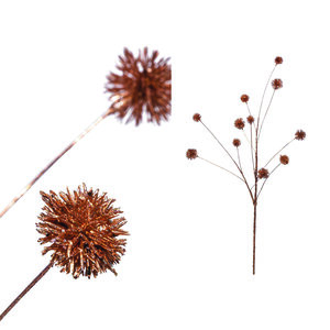 Twig Pflanze Kupfer Billy Buttons Spray