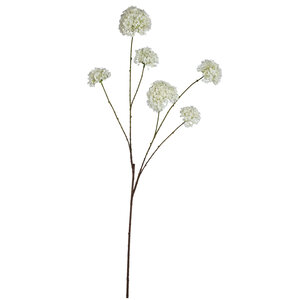 Twig Pflanze Weißer Engelwurz-Blütenspray