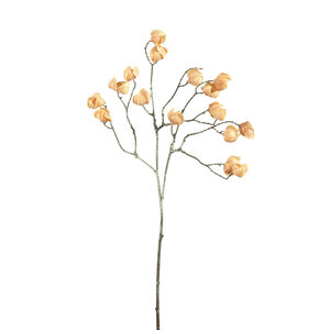 Twig Planta Beige Spray para faroles 1