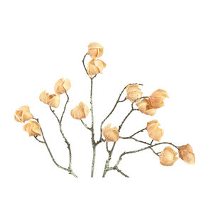 Twig Planta Beige Spray para faroles 2