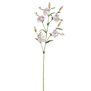 Lily Flower Light Pink Tiger Lily Branch 1