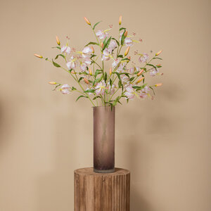 Lily Flower Light Pink Tiger Lily Branch 2