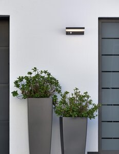 Anthracite wall light DYN 2