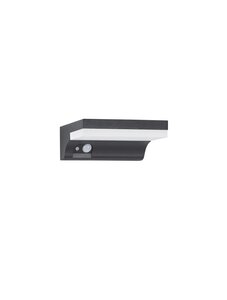Anthracite wall light DYN 1