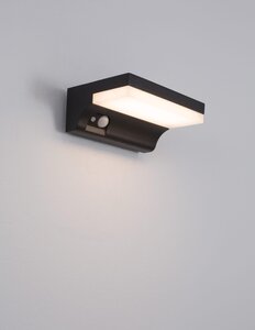Anthracite wall light DYN 5