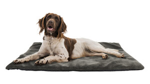 Hunde-Thermobett 70x100 1