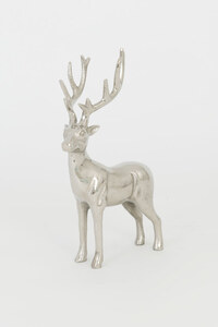 Hirsch GADDO MEDIUM 1