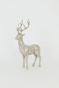Hirsch GADDO MOLTO GRANDE 1