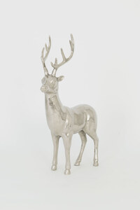 Hirsch GADDO MOLTO GRANDE 2