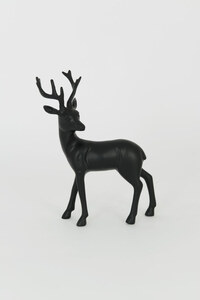 Hirsch TOSCO MEDIUM 1