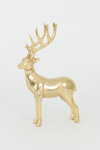 Hirsch SISTO GRANDE 1