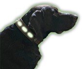 Niggeloh Halsung Lichtblick