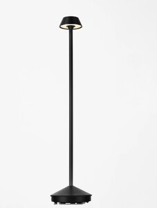 Path light ARION Black 5