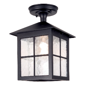 Winchester outdoor ceiling light