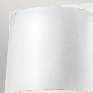 Scout Wall Light 6