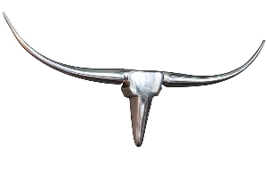 Antler Wall Decoration BULL 8