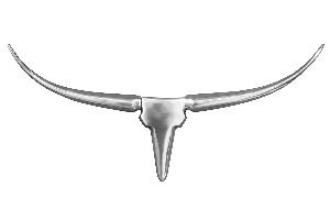 Wanddekoration Geweih BULL